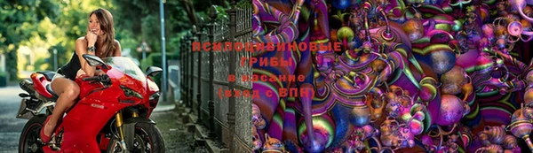 бошки Верея