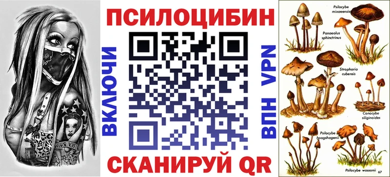 Псилоцибиновые грибы MAGIC MUSHROOMS наркошоп Павловская